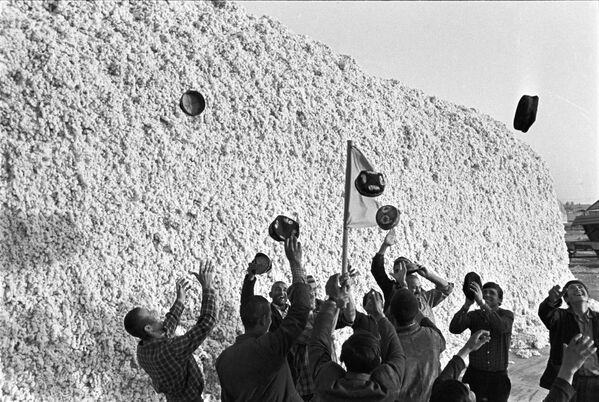 Ўзбекистон ССР. Пахта терими мажбуриятлари бажарилди, 1972 йил. Уч йилдан кейин республикада 4 миллион тонна “оқ олтин” йиғилиб, рекорд ўрнатилди. Ўзбекистон ССР. Пахта терими мажбуриятлари бажарилди, 1972 йил. Уч йилдан кейин республикада 4 миллион тонна “оқ олтин” йиғилиб, рекорд ўрнатилди. - Sputnik Ўзбекистон