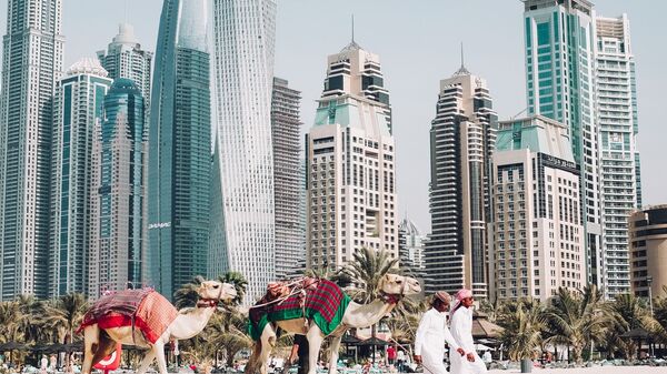 A view on Dubai, the United Arab Emirates - Sputnik O‘zbekiston